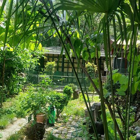 Готель Gardens In Vake, Тбілісі Екстер'єр фото